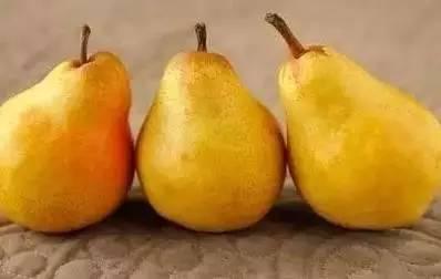 梨吃瓜,探寻水果界的绝妙搭配