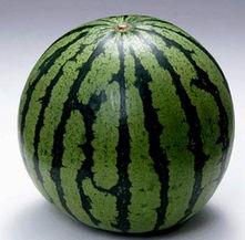 不吃瓜的吃瓜,揭秘“不吃瓜”背后的吃瓜真相